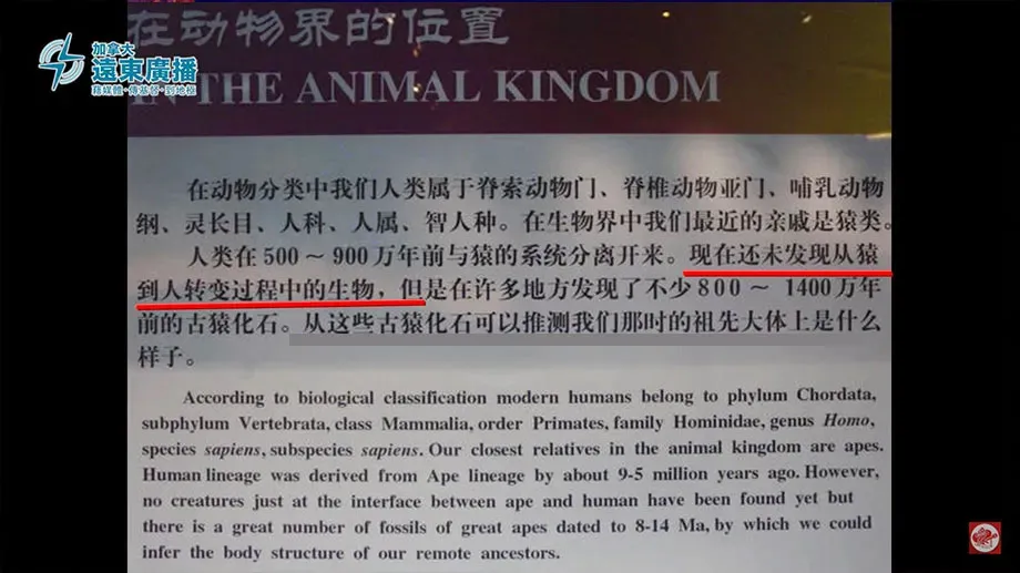 博物馆诚实的介绍牌