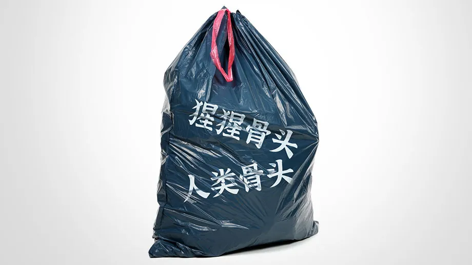 将猩猩和古人类混在一起的“垃圾袋”