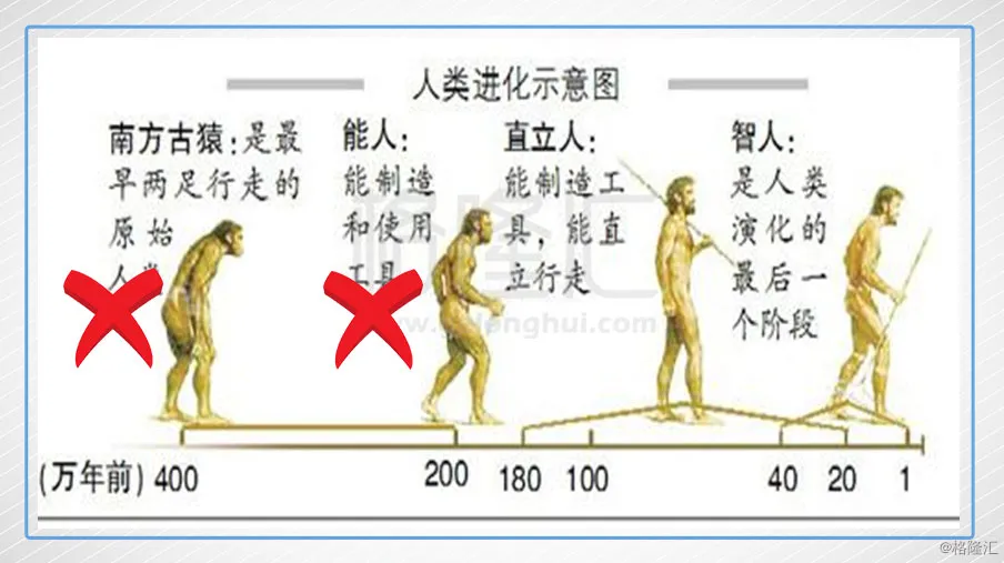 书本上的“能人”祖先