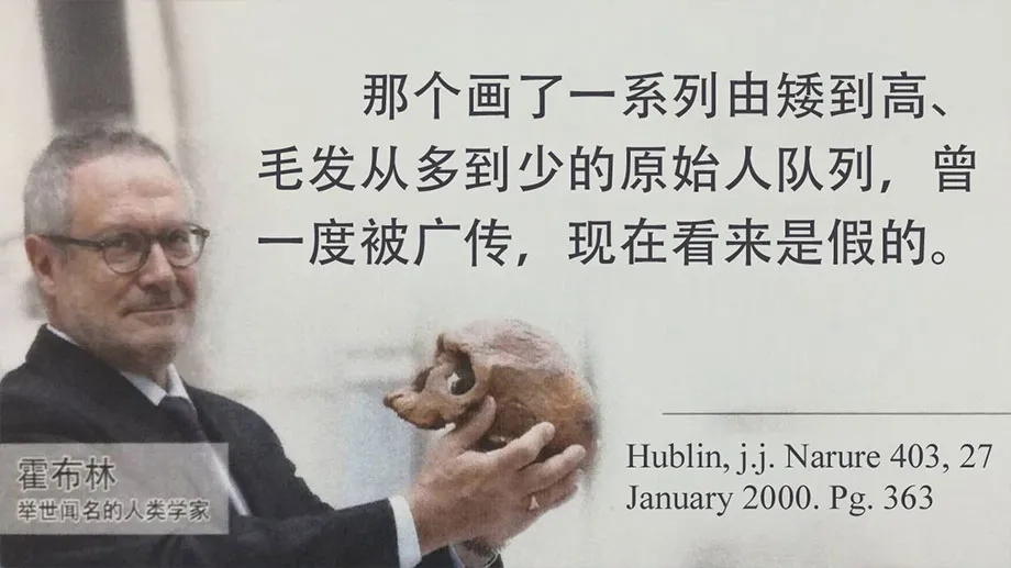 进化专家批评进化图造假