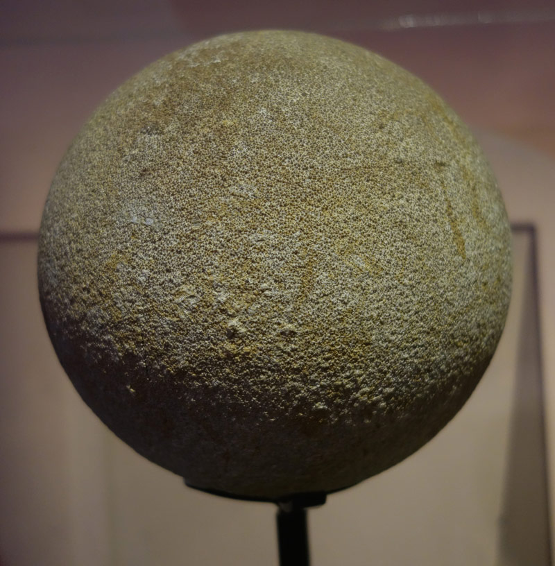 Sauropod-egg