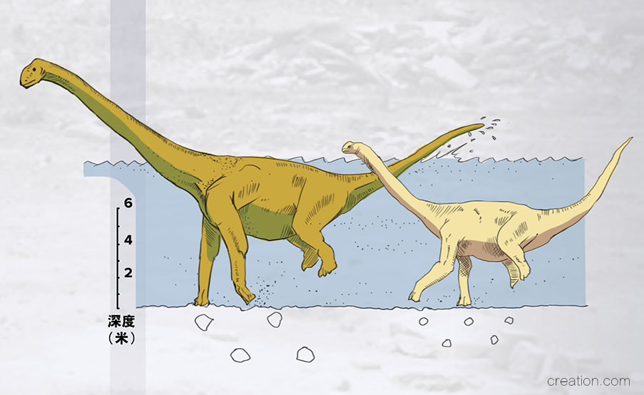 large-and-small-sauropod