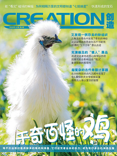 创造杂志43卷第四期