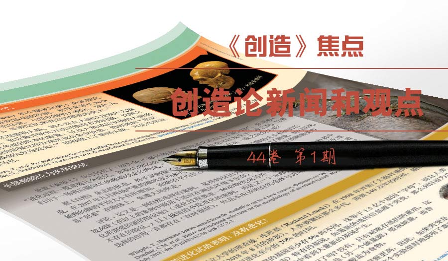 《焦点》—创造论新闻和观点44(1)