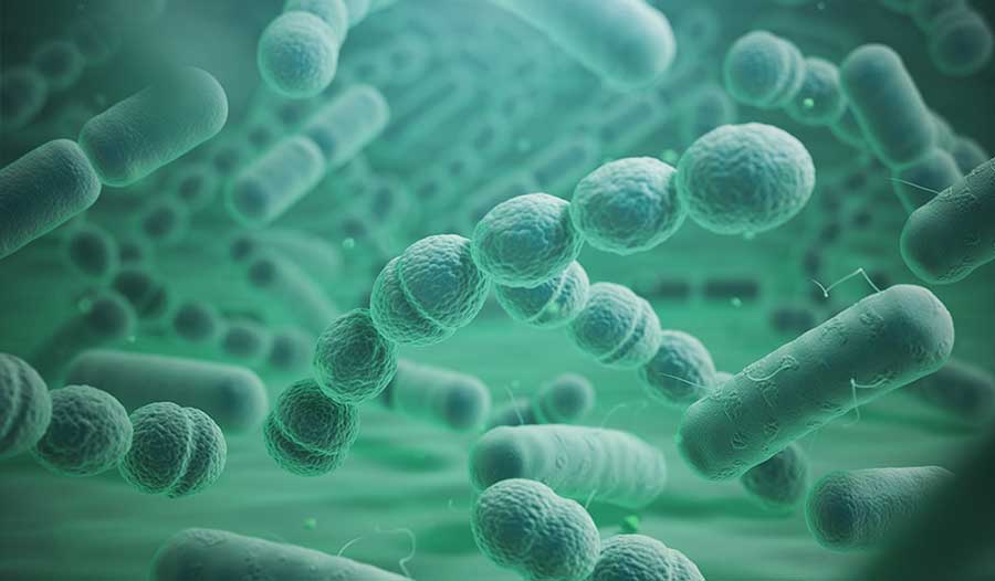 细菌，竟然是制造指南针的大师