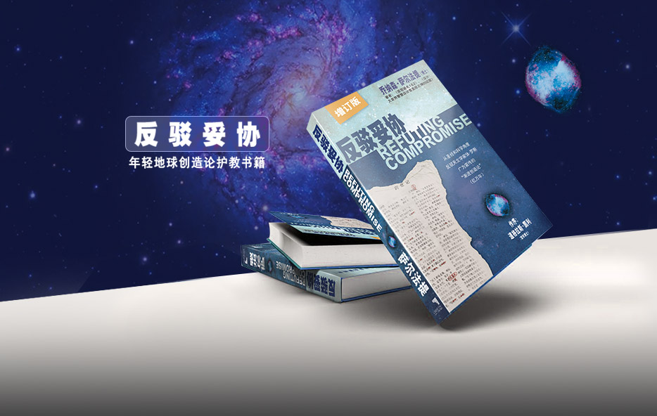 《反驳妥协》护卫创造，拒绝妥协