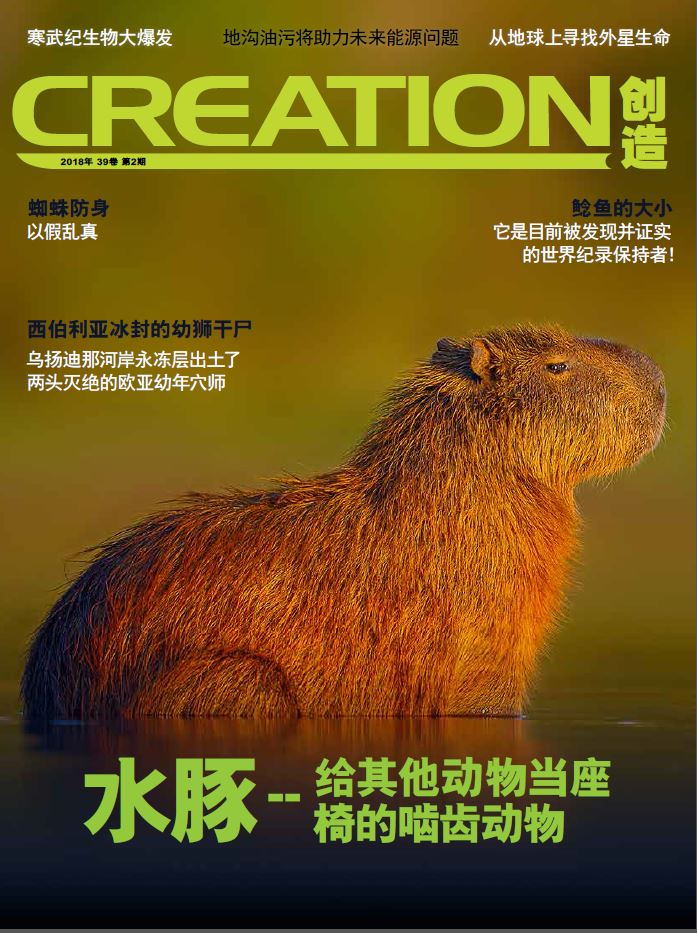 创造杂志39卷第二期