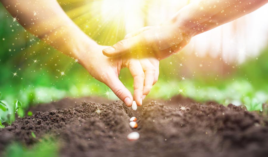 手把手教你有效地传福音