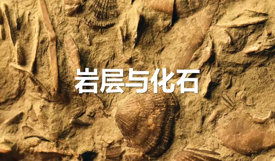 岩层与化石