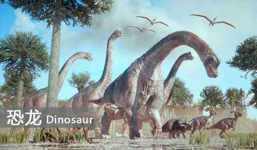 圣经里的“比希谟”是指恐龙吗？