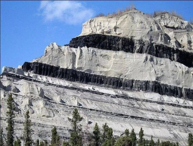 含有大量化石、层次平整的岩层、煤层就是全球大洪水快速沉积的铁证