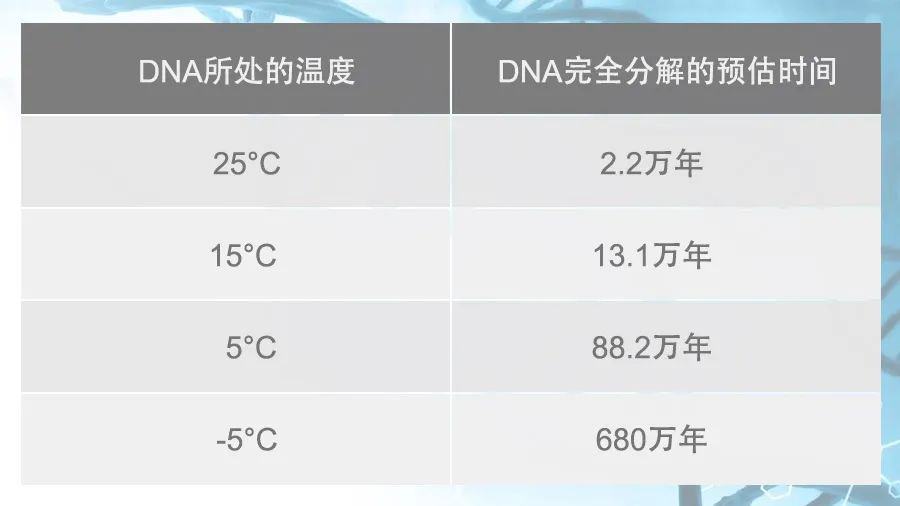 DNA完全分解的预估时间表