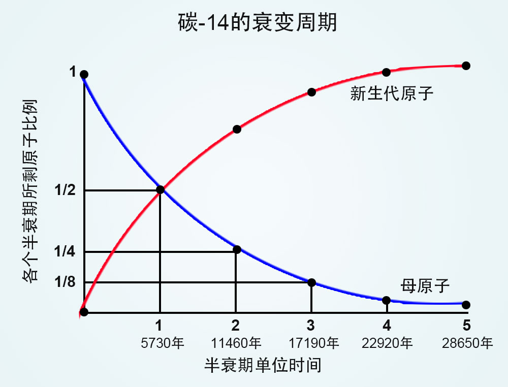 什么是半衰期