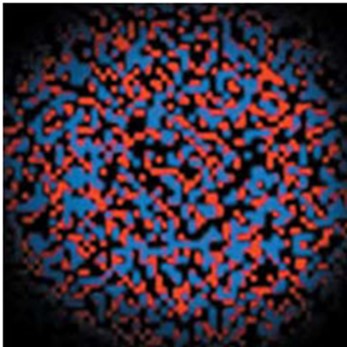 最早的恒星形成系统